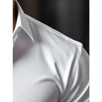 Camisa De Hombre 2025 Nueva Marca Color Sólido Manga Larga Estilo Casual Para Todas Las Estaciones Cierre Único Poliéster - details 12