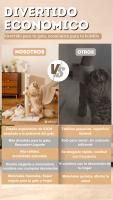 PETOO,Poste rascador XXL para gatos 40x40x83 cm – Rascador resistente con base estable, ideal para arañar, estirarse y cuidar las uñas de tu gato - details 1