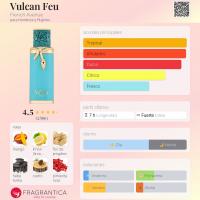 Perfume Árabe Original Vulcan Feu EDP Unisex 100ml – Elegancia Oriental en Spray de French Avenue - details 4