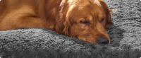 Feandrea Cama para Perros, Cojín, XXL, para Perros Grandes, Manta Mullida para Mascotas, Felpa, 122 x 74 cm, Acolchado Suave, Lavable, Antideslizante, Gris Pizarra - details 1