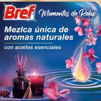 BREF Desinfectante WC Power Activ colgador Momentos De Relax Armonía Pack ahorro de 3 blister - details 1