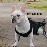 Harnés Para Perros De Ascenso Para Subir Y Bajar Las Escaleras Conjunto De Caminar Ajustable Y Transpirable De Polyester - details 2