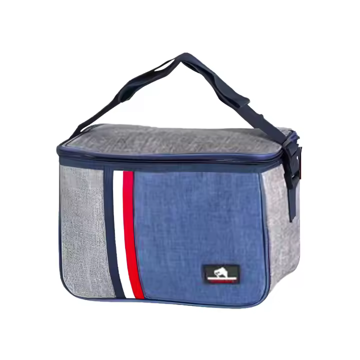 Family Bolsa de Enfriamiento, Bolsa Isotérmica, Nevera de Almuerzo Pequeña Multiuso para Hombres, Mujeres, Niños, Transporte de Bebidas Frías o Alimento, gris - 1
