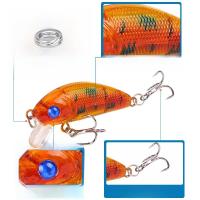 Señuelo De Pesca Minnow Rock Duro 5cm 4.2g Imitación Biónica Para Agua Dulce Y Salada Pesca De Bass Y Pike - details 2