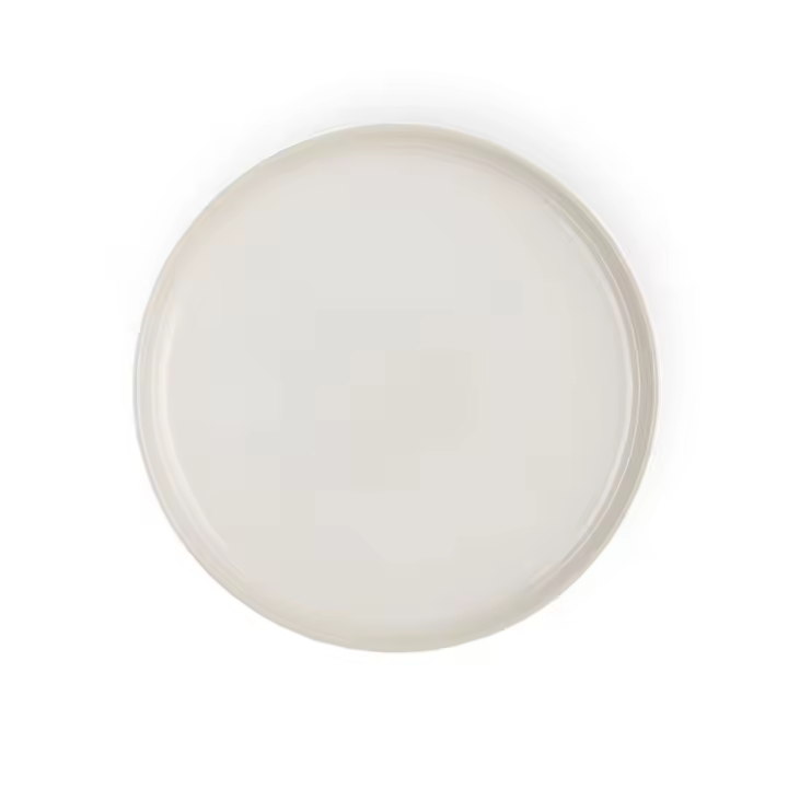 Platos cerámicos Coupe de Le Creuset - 1