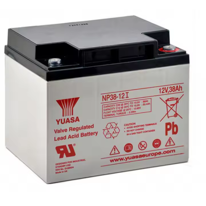 Batería plomo YUASA NP38-12 12V 38Ah - 1