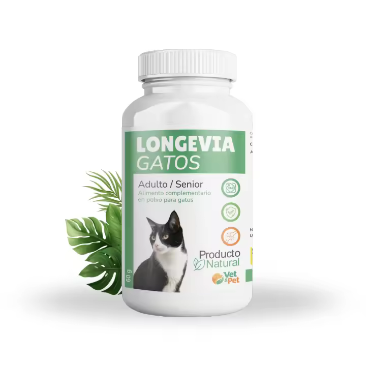BioActive - Longevia Gatos Antiedad Integral | Vitalidad, articulaciones y defensas - 60g - 1