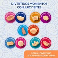 INABA Juicy Bites (3x11,3 gr) - Snack Húmedo para Gatos Sin Gluten Sin Conservantes con Vitamina E (Calamar con Caldo Casero, Pollo con Atún, Pescado con Almeja, Cangrejo con Vieira) - details 4