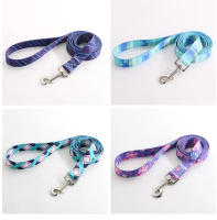 Collar Para Perro De Tamaño Pequeño Mediano Grande Para Caminar Bohemia Collar Para Gato Con Correa Suministros Para Mascotas Pitbull Pug - details 14