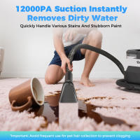 Teendow C6 MAX, Wet & Dry Vacuum Cleaners, 1650W Power Motor, 12000PA, 4M Extended, Removable Large Capacitywater Tank, High-Temperature, Spray-Brush-Suction Integration - details 1