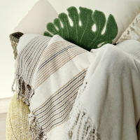 Manta Auxiliar de Microchenilla Rayas color Beige con Flecos ALO HOME 130x170 cm para Sofá o Cama - details 3