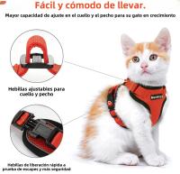 Correa De Tracción Para Gatos Transpirable Con Ajuste Y Antideslizante Chaleco Estilo Cuerda Adelantable Ultrafino Para Verano - details 17