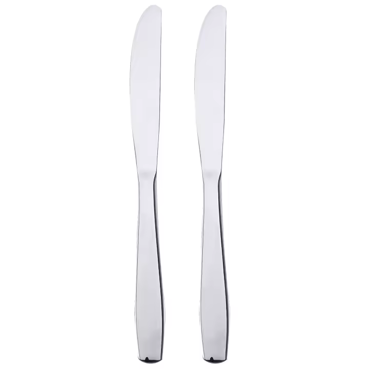 Set 2 cuchillos en acero inoxidable BERGNER - 1