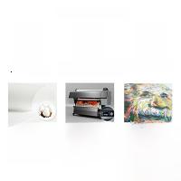 Arte Abstracto Moderno Pared Pareja Póster Para Decoración Nórdica Hogar Dormitorio Sala De Estar Arte De Animal En Lienzo Sin Marco - details 13
