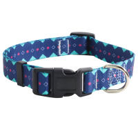 Collar Para Perro De Tamaño Pequeño Mediano Grande Para Caminar Bohemia Collar Para Gato Con Correa Suministros Para Mascotas Pitbull Pug - details 8