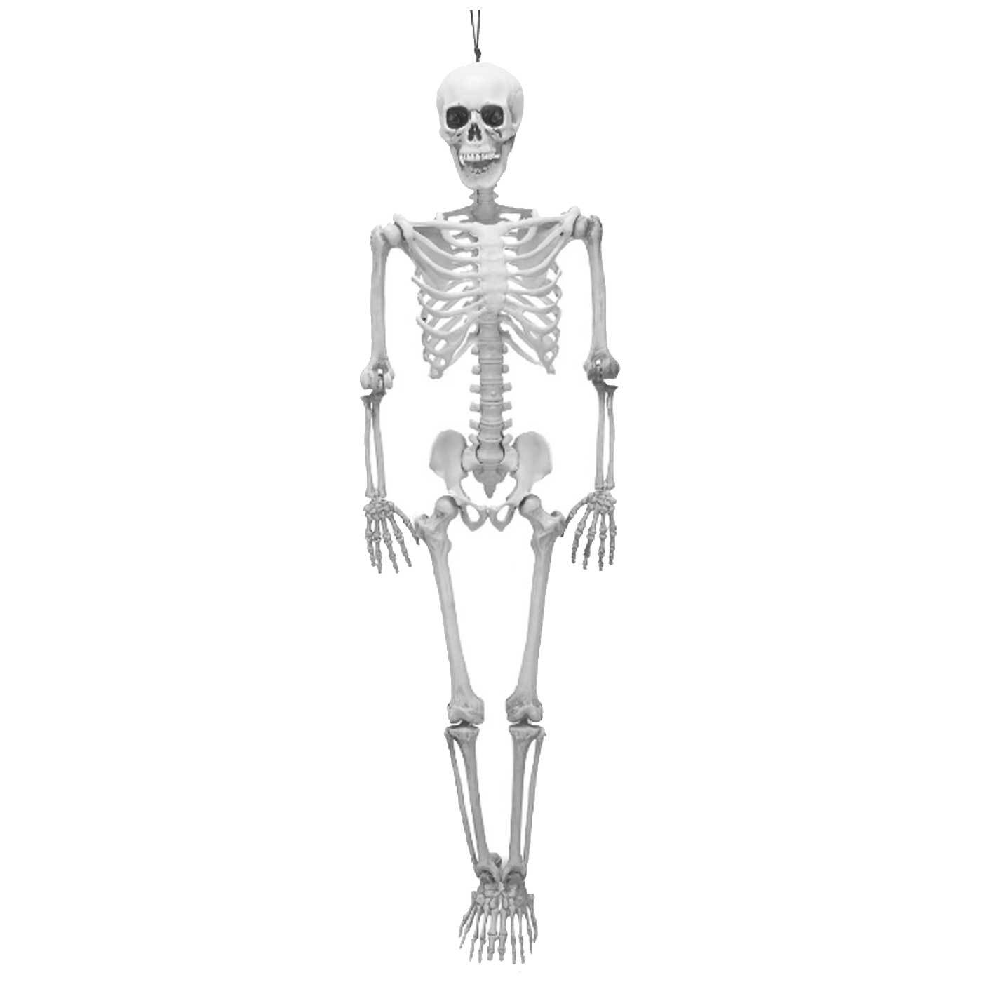 Tradineur - Esqueleto colgante para Halloween - Fabricado en plástico - Adorno para decoración - Longitud 48 cm - Color Blanco