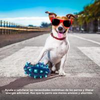 Juguete De Masticar Para Perros Grande Y Mediano Bola De Rugby De Goma Suave Resistente a Mordeduras Y Adecuado Para Juego De Sonidos - details 7