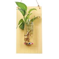 Decoración Creativa Para El Hogar En Madera Sólida Con Pequeño Vaso De Vidrio Para Plantas Hidroponicas Radish Verde - details 4