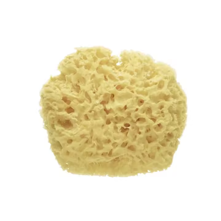 Saro Esponja Natural Premium - 1