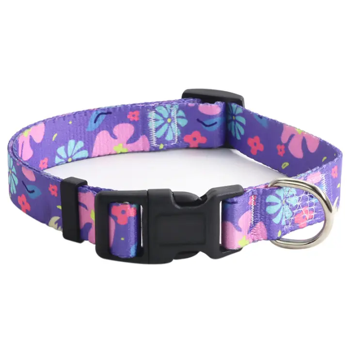 Collar Para Perro De Tamaño Pequeño Mediano Grande Para Caminar Bohemia Collar Para Gato Con Correa Suministros Para Mascotas Pitbull Pug - 1