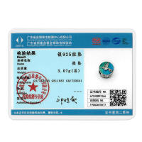 Encanto De Mariposa Plateado En Plata Con Circonia Bola Redonda Colgante Para Pulsera O Collar DIY Joyería De Moda Irregular - details 1