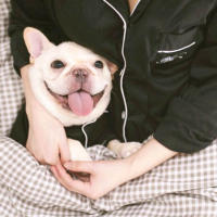 Pijama Para Perro Pequeño Y Mediano Ropa De Moda Para Bulldog Francés Chihuahua Traje Para Perro Material De Algodón 100% - details 7