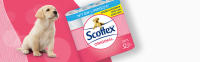 Scottex Papel Higiénico Original 96 Rollos (6 x 16) – Pack Familiar Suave y Resistente - details 1