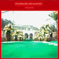 Carpetas De Novia Verdes Accesorios De Boda Alfombra De Isla Para Ceremonias Y Fiestas Decoración Interior Y Exterior - details 0