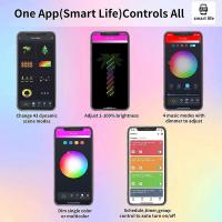 Luz De Fairy Globe Inteligente WiFi BLE 33 Bulbs Para Exterior RGB Decoración De Jardín Y Boda Con Control Por Alexa Google - details 10