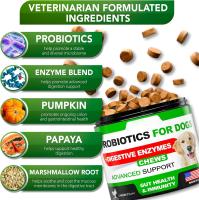 Suplemento probiótico premium para mascotas – Equilibra la flora intestinal, mejora la digestión y fortalece las defensas - details 0