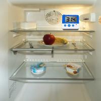 Termómetro Digital Para Nevera Con Alarma Y Mostrador De Temperatura Máxima Y Mínima Pantalla LCD Para Interior Y Exterior - details 2