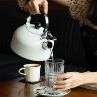 Hervidor De Agua Eléctrico De Acero Inoxidable 3L Para El Hogar Con Fondo Plano Y Silbato Para Té Y Café Fabricado En China - details 8