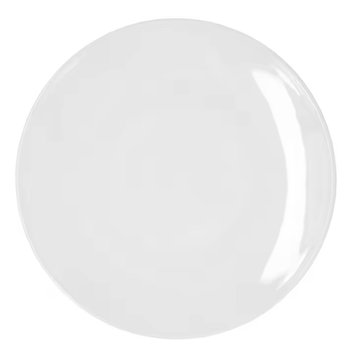 BIDASOA GLACIAL COUPE Plato Llano Porcelana 30CM Blanco Brillo Acabado profesional de alta resistencia Apilable - 1
