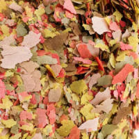 B4F Goldfish Flakes - Alimento Completo en Escamas Flotantes para Peces de Agua Fría (Goldfish, Koi juvenil, Carpas ornamentales) (2 Formatos) - details 1