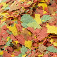 B4F Tropical Flakes - Alimento Completo en Escamas para Peces Tropicales Comunitarios (Tetras, Guppys, Mollies, Platy, Gouramis) (3 Formatos) - details 1