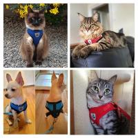 Harnés Ajustable Para Gatos Y Perros Pequeños Y Medianos De Malla Transpirable Con Correa Para Caminar Y Traction Reflectante - details 1