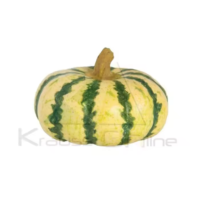 Calabaza - 1