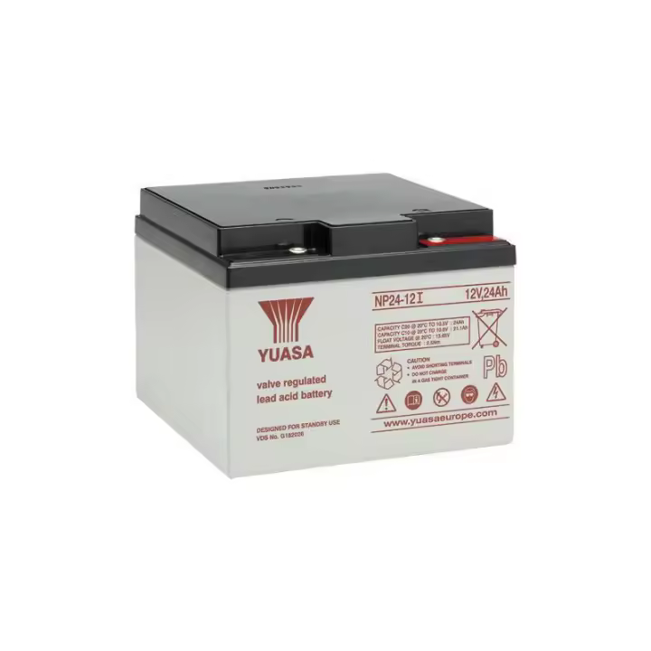 Batería plomo Yuasa NP24-12I 12V 24Ah - 1
