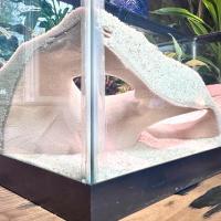 Decoración Acuática De Doble Entrada Para Acuarios Escondite Para Peces Y Camarones Cueva De Salamandra Para Reptiles Suministros Para Mascotas - details 2
