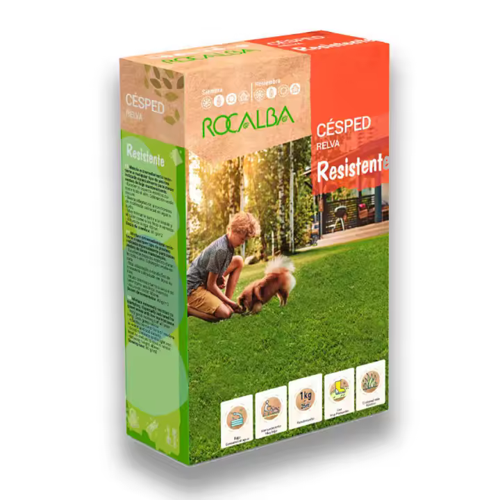 Semillas de Césped Muy Resistente - Caja de 1 KG - Césped muy resistente a pisadas y bajo mantenimiento - Ideal para Jardines y zonas de piscina. Las semillas de Césped Resistente de Rocalba nos proporcionarán un césped de gran aspecto estético durante t - 1