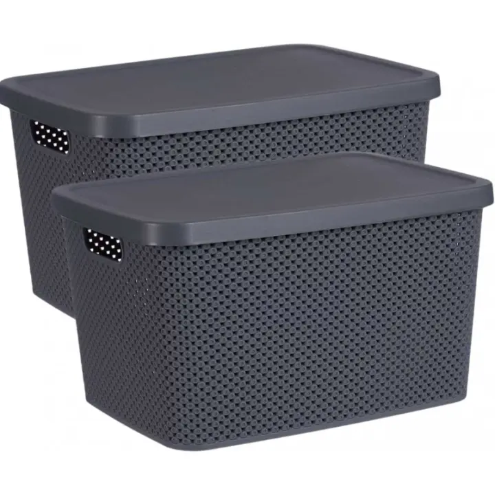 TIENDA EURASIA - Pack de 2 Cajas Organizadoras con Tapa, Almacenaje de Plastico con Tapa, Cajas Decorativas, Diseño Transpirable - 1