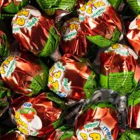 Vidal Mega Pompitos y Mega Palipica pintalenguas - 40 ud Caramelos con palo rellenos de chicle (chupachups) - Sabores: Sandía, Fresa, Cereza - details 2