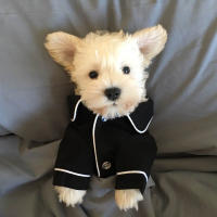 Pijama Para Perro Pequeño Y Mediano Ropa De Moda Para Bulldog Francés Chihuahua Traje Para Perro Material De Algodón 100% - details 5