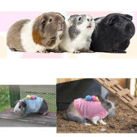 Ropa De Conejo Para Conejos Pequeños Guía Pig Camisa Suave Para Hamsters Tamaño XS XXS Accesorios Para Mascotas De Peluche - details 1