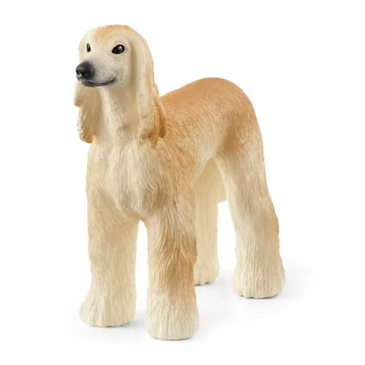 Galgo - 1