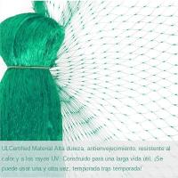 Malla De Protección Contra Pájaros Verde Para Jardín Cosechas De Frutas Verduras Flores Arbolado Pecuario Mejor Valla - details 9