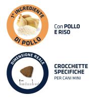Advance Mini Adult Chicken & Rice 1,5 Kg para Perros Pequeños de Alta Gama con pollo y arroz. - details 1
