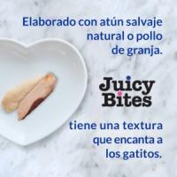 INABA Juicy Bites (3x11,3 gr) - Snack Húmedo para Gatos Sin Gluten Sin Conservantes con Vitamina E (Calamar con Caldo Casero, Pollo con Atún, Pescado con Almeja, Cangrejo con Vieira) - details 5