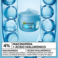 Garnier | Sorbete Hidratante Rellenador Hyaluron Fresh & Plump 3x85ml - details 1