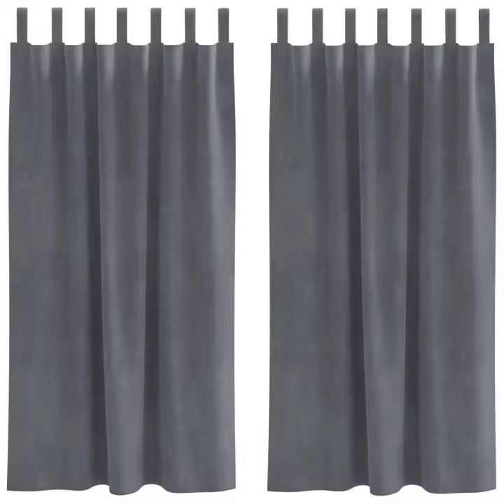 Cortinas Opacas vidaXL con Lazos de Colgar 2 pcs Gris Claro Super Ligero de Terciopelo - 1